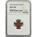 1 grosz 1930 - NGC MS67 RD - RZADKOŚĆ