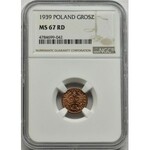 1 grosz 1939 - NGC MS67 RD