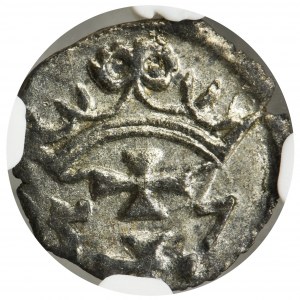 Sigismund II August, Denarius Danzig 1557 - NGC MS62