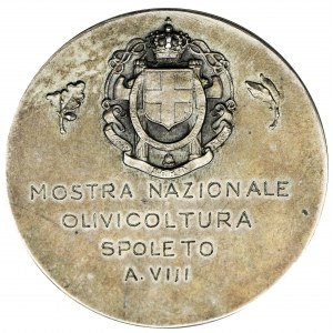 Italy, Medal Consiglio Provincionale dell'Economia di Roma
