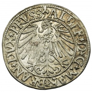 Prusy Książęce, Albrecht Hohenzollern, Grosz Królewiec 1545