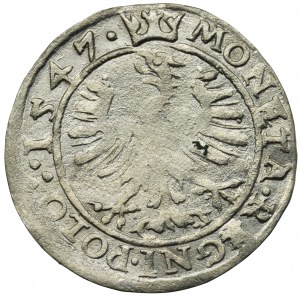 Sigismund I the Old, Groschen Krakau 1547 ST