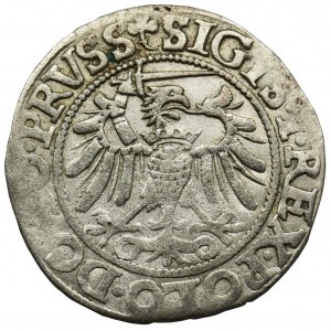 Sigismund I the Old, Groschen Elbing 1540 - PRVSS