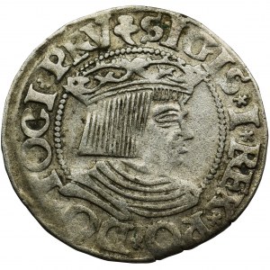 Sigismund I the Old, Groschen Danzig 1535 - PRV