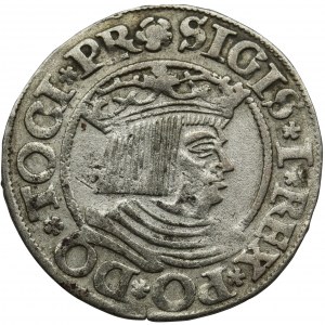 Sigismund I the Old, Groschen Danzig 1534 - PR