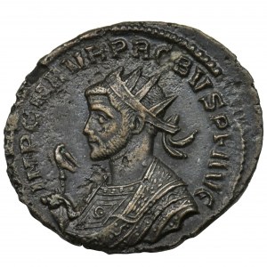 Cesarstwo Rzymskie, Probus, Antoninian - ekstremalnie rzadki