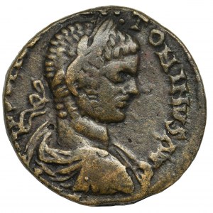 Roman Provincial, Phoenicia, Elagabalus, AE26