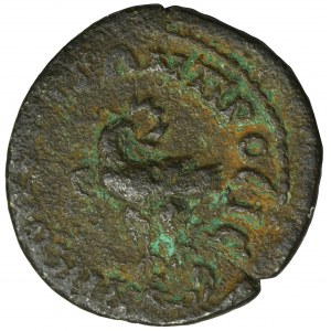 Roman Provincial, Moesia Inferior, Nicopolis ad Istrum, Caracalla - rare