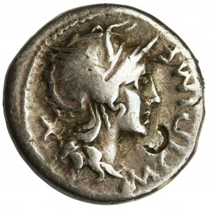 Roman Republic, M. Cipius M. f., Denarius