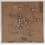 A Shooting Target/Střelecký terč