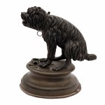 Cane come scatola di sigari