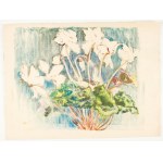 Józefa Kratochwila-Widymska (1878-1965), Kwiaty, lata 30. XX w.