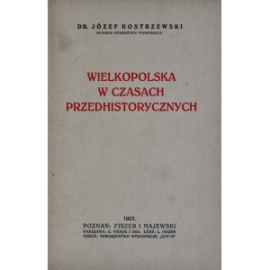 Kostrzewski J., Wielkopolska w czasach przedhistorycznych, Poznań 1923.