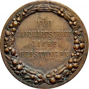 Medal nagrodowy ok. 1900, za osiągnięcia w rolnictwie w Prowincji Pomorskiej.