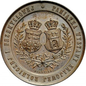 Medal autorstwa Schapira wybity na pamiątkę Krajowej Wystawy Rolniczej i Przemysłowej we Lwowie w 1877 roku.