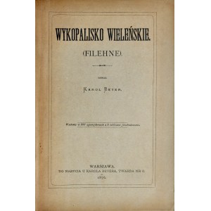 Beyer K., Wykopalisko Wieleńskie, Warszawa 1876.