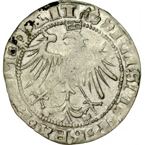 Zygmunt I Stary 1506-1548, Grosz 1536 M, Wilno.