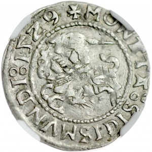 Zygmunt I Stary 1506-1548, Półgrosz 1529, Wilno.