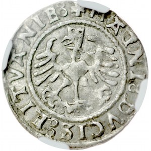 Zygmunt I Stary 1506-1548, Półgrosz 1529, Wilno.
