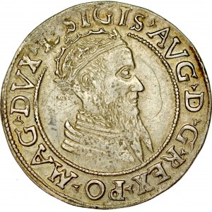 Zygmunt II August 1545-1572, Czworak 1569, Wilno.