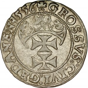 Zygmunt II August 1545-1572, Grosz 1556, Gdańsk.