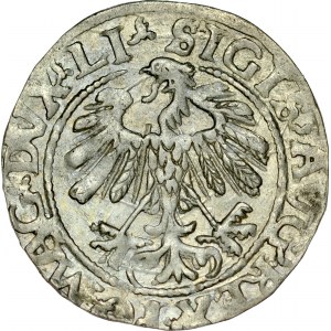 Zygmunt II August 1545-1572, Półgrosz 1559, Wilno.