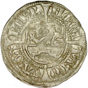Pomorze, Bogusław X 1478-1523, Szeląg 1492, Gardziec.