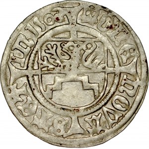Pomorze, Bogusław X 1478-1523, Szeląg 1500, Szczecin.