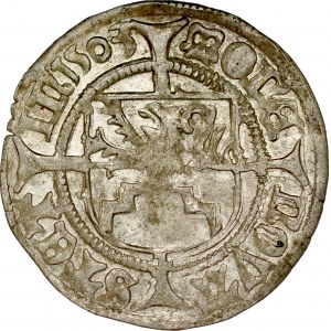 Pomorze, Bogusław X 1478-1523, Szeląg 1503, Szczecin.