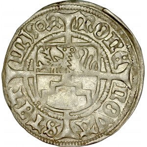 Pomorze, Bogusław X 1478-1523, Szeląg 1504, Szczecin.