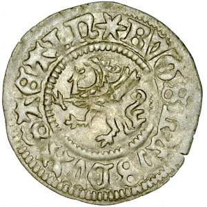 Pomorze, Bogusław X 1478-1523, Wit 1505, Szczecin.