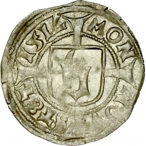 Pomorze, Bogusław X 1478-1523, Wit 1517, Szczecin.