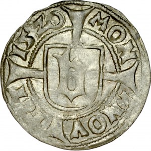 Pomorze, Bogusław X 1478-1523, Wit 1520, Szczecin.