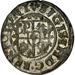 Zygmunt III 1587-1632, Szeląg 1626, Bydgoszcz.
