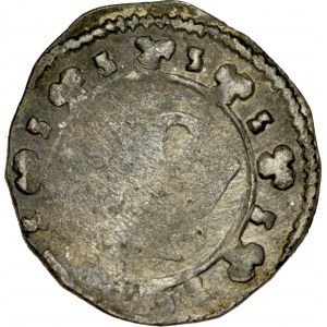 Ks. Wrocławskie, Henryk III lub synowie 1306-1314, Poznań, Av.: Duża litera P, dookoła ozdobniki w formie trójlistnych rozetek, RRR.