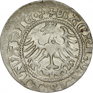 Zygmunt I Stary 1506-1548, Półgrosz 1513, Wilno.