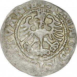 Zygmunt I Stary 1506-1548, Półgrosz 1524, Wilno.