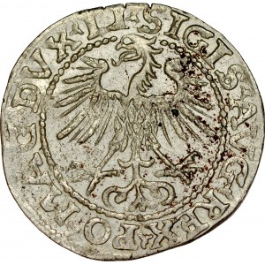 Zygmunt II August 1545-1572, Zestaw półgroszy litewskich, 1546 – mały orzeł, 1546 x2 1547, 1548 x2, 1549, 1550, 1551, 1552, 1553, 1555, 1556, 1557.