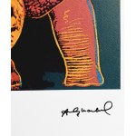Andy Warhol (1928-1987), Black Rhinoceros , lithograph (edition 96/125), Endangered Species series.