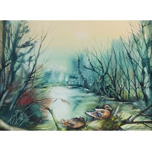Beata Gugnacka, Ducks III, 2008