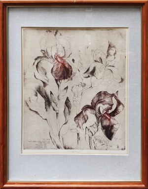 Daniela Havlíčková, Irysy 9 (edycja 5/90), 1983