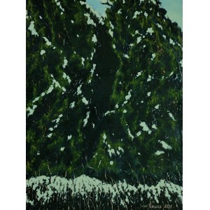 Jacek Barszcz, Neve 40x30