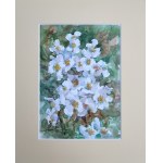 Alexander Franko, Fiori 30x24