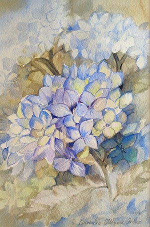 Barbara Młynik-Szilke, 
