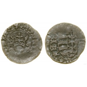 Polska, denar, (1442-1443), Ismeretlen