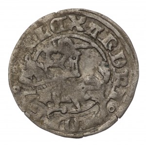 Polska, Aleksander Jagiellończyk, Aleksander Jagiellończyk, Półgrosz bez daty, Wilno, Gotyk