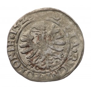 Polska, Zygmunt I Stary grosz 1529 Kraków