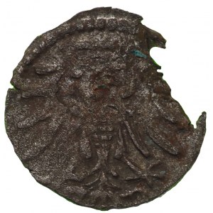 Polen, Zygmunt II August, Denar 1550 Danzig