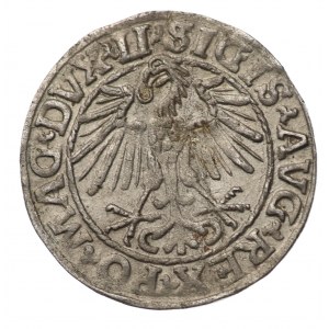 Polonia, Sigismondo II Augusto, mezzo penny, 1548, Vilnius - LI/LITVA
