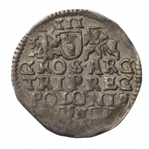 Polska, Zygmunt III Waza, Trojak, Poznań